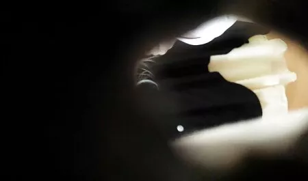 Kuumapesu sex xporno