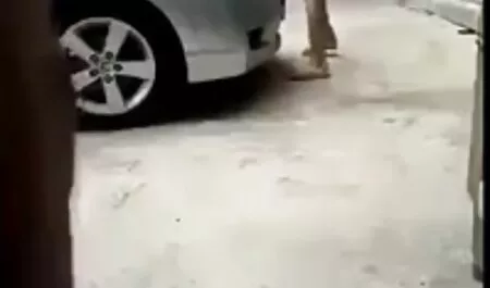 Märkä sieni pono fime oli 19 vuotta vanha heitto isolle jakajalle.