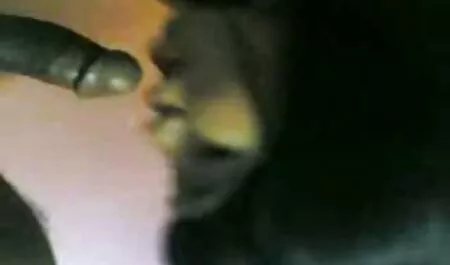 Ei transupornoa Anaalia