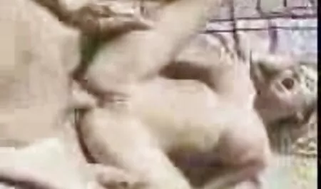 Tyttö yleisön porno yu edessä ja häikäilemätön.